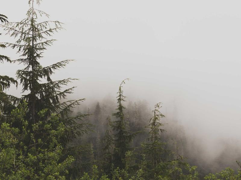 Discord社群搭建<br>服务器创建权限配置运营指南